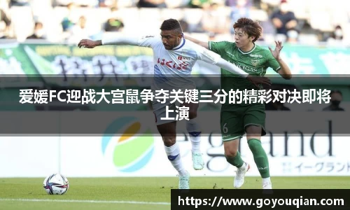 DG视讯官方网站
